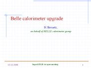 Belle calorimeter upgrade