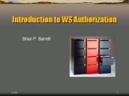Introduction to WS Authorization