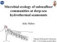 Microbial ecology of subseafloor communities at deep-sea hydrothermal seamounts PowerPoint PPT Presentation