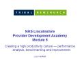 NHS Lincolnshire PowerPoint PPT Presentation