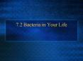 7'2 Bacteria in Your Life PowerPoint PPT Presentation