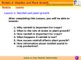 Lesson 1: Rainfall and plant growth PowerPoint PPT Presentation