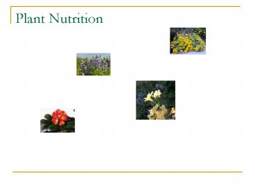 Plant Nutrition