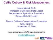 Cattle Outlook