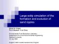 Largeeddy simulation of the formation and evolution of sand ripples PowerPoint PPT Presentation