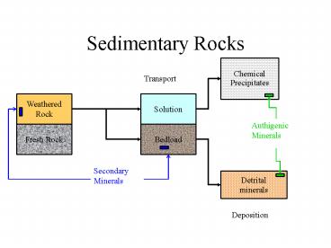 Sedimentary Rocks