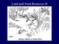 Land and Food Resources II PowerPoint PPT Presentation