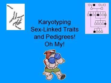 Karyotyping Sex-Linked Traits and Pedigrees! Oh My!