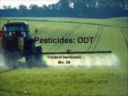 Pesticides: DDT