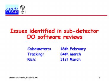 Issues identified in sub-detector OO software reviews