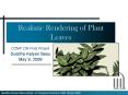 Realistic Rendering of Plant Leaves PowerPoint PPT Presentation
