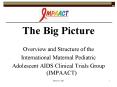 The Big Picture PowerPoint PPT Presentation