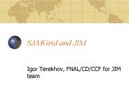 SAMGrid and JIM