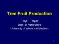 Tree Fruit Production PowerPoint PPT Presentation