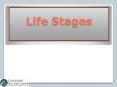 Life Stages PowerPoint PPT Presentation