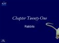 Chapter Twenty-One PowerPoint PPT Presentation