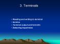 3. Terminals PowerPoint PPT Presentation