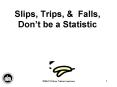 Slips, Trips, PowerPoint PPT Presentation
