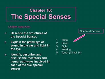 Chapter 16: The Special Senses
