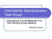 Flammability Standardization Task Group