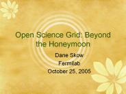 Open Science Grid: Beyond the Honeymoon