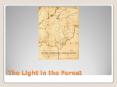 The Light in the Forest PowerPoint PPT Presentation