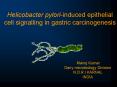 Helicobacter pyloriinduced epithelial cell signalling in gastric carcinogenesis PowerPoint PPT Presentation