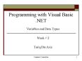 Programming with Visual Basic .NET PowerPoint PPT Presentation