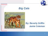 Big Cats