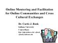 Online Mentoring and Facilitation for Online Communities and Cross Cultural Exchanges PowerPoint PPT Presentation