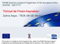 Trkiyede Finans Kaynaklari Zehra Kaya TESK ARGE Mdr PowerPoint PPT Presentation