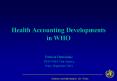 Health Accounting Developments in WHO PowerPoint PPT Presentation