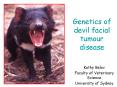 Genetics of devil facial tumour disease PowerPoint PPT Presentation