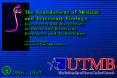 The Foundations of Medical and Veterinary Virology: Discoverers and Discoveries Inventors and Inventions Developers and Technologies Frederick A. Murphy University of Texas Medical Branch PowerPoint PPT Presentation