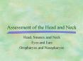 Assessment of the Head and Neck PowerPoint PPT Presentation