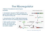 The Riboregulator