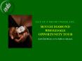 GOFU Rough Diamond Wholsale Opportunity Tour PowerPoint PPT Presentation