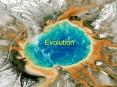 Evolution PowerPoint PPT Presentation
