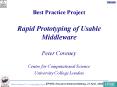 Best Practice Project Rapid Prototyping of Usable Middleware Peter Coveney Centre for Computational Science University College London PowerPoint PPT Presentation