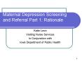 Maternal Depression Screening and Referral Part 1: Rationale PowerPoint PPT Presentation