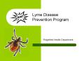 Lyme Disease Prevention Program PowerPoint PPT Presentation