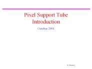 Pixel Support Tube Introduction