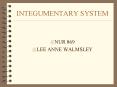 INTEGUMENTARY SYSTEM PowerPoint PPT Presentation