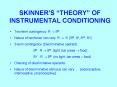 SKINNER PowerPoint PPT Presentation