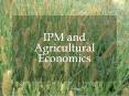 IPM and Agricultural Economics PowerPoint PPT Presentation