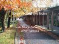 SoNo Sound and Noise PowerPoint PPT Presentation