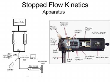 Stopped Flow Kinetics