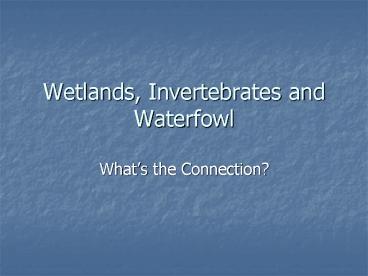 Wetlands, Invertebrates and Waterfowl