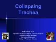 Collapsing Trachea