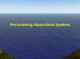 Recirculating Aquaculture Systems PowerPoint PPT Presentation